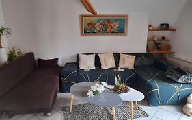 Gite Le Jardin De Hermolsheim. Alsace Tres Spacieux